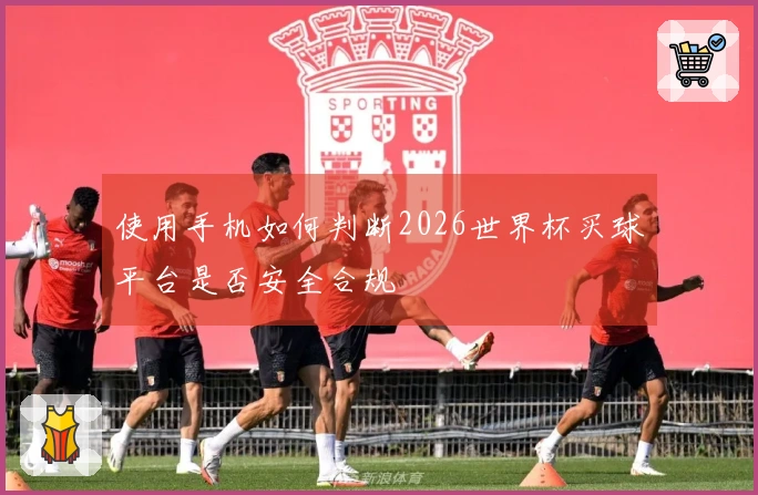 使用手机如何判断2026世界杯买球平台是否安全合规