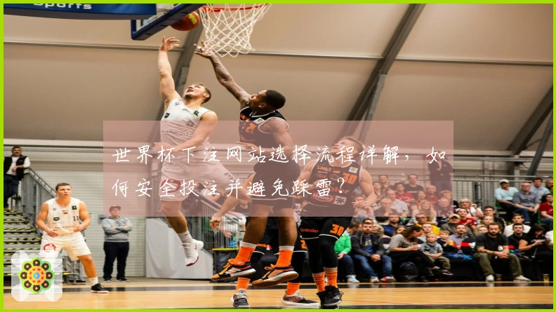 世界杯下注网站选择流程详解，如何安全投注并避免踩雷？