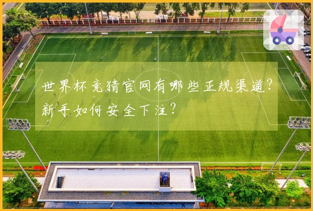 世界杯竞猜官网有哪些正规渠道？新手如何安全下注？
