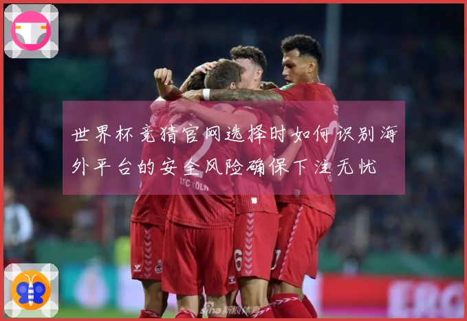世界杯竞猜官网选择时如何识别海外平台的安全风险确保下注无忧