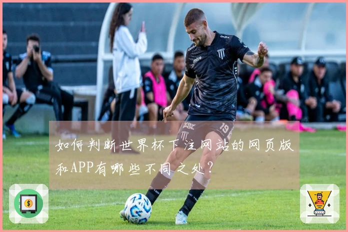 如何判断世界杯下注网站的网页版和APP有哪些不同之处？
