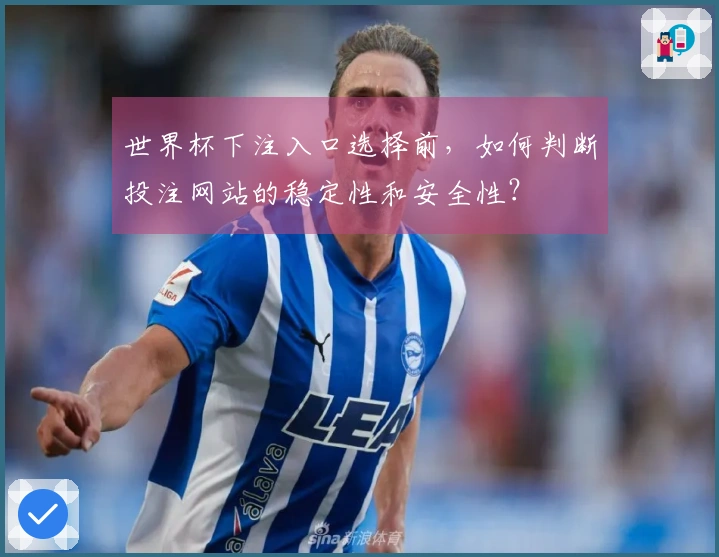 世界杯下注入口选择前，如何判断投注网站的稳定性和安全性？