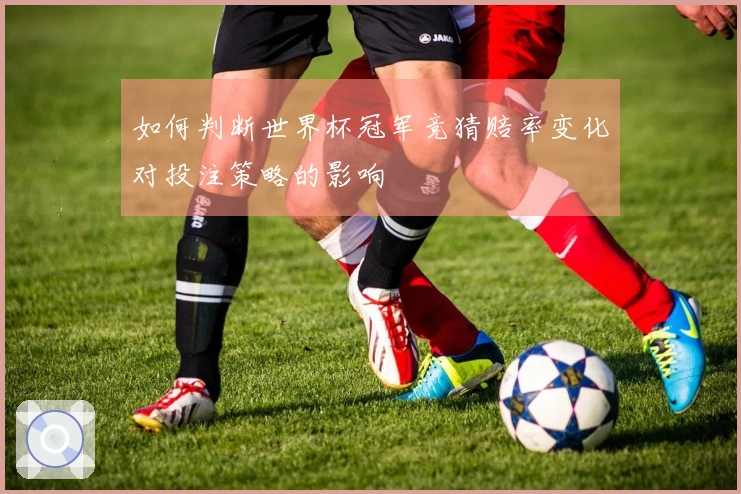 如何判断世界杯冠军竞猜赔率变化对投注策略的影响