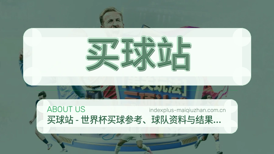 买球站关于我们